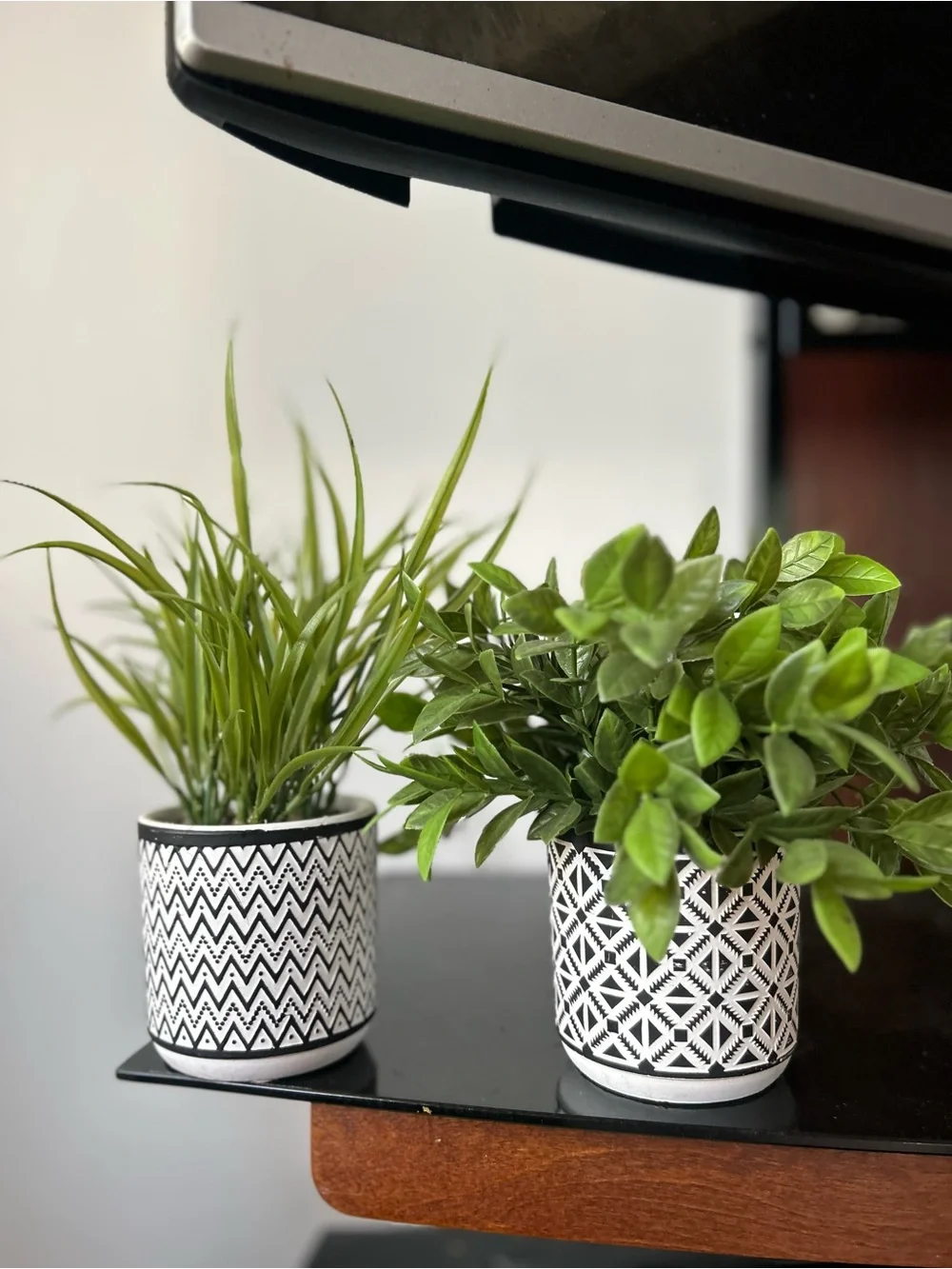 Black and White Patterned Ceramic faux plants  - Set of 2